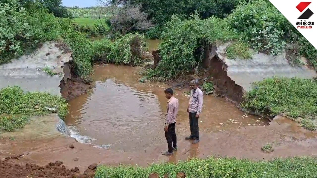 Anand News: Massive Canal Breach on Khadol-Adas Road; Millions of Liters Wasted