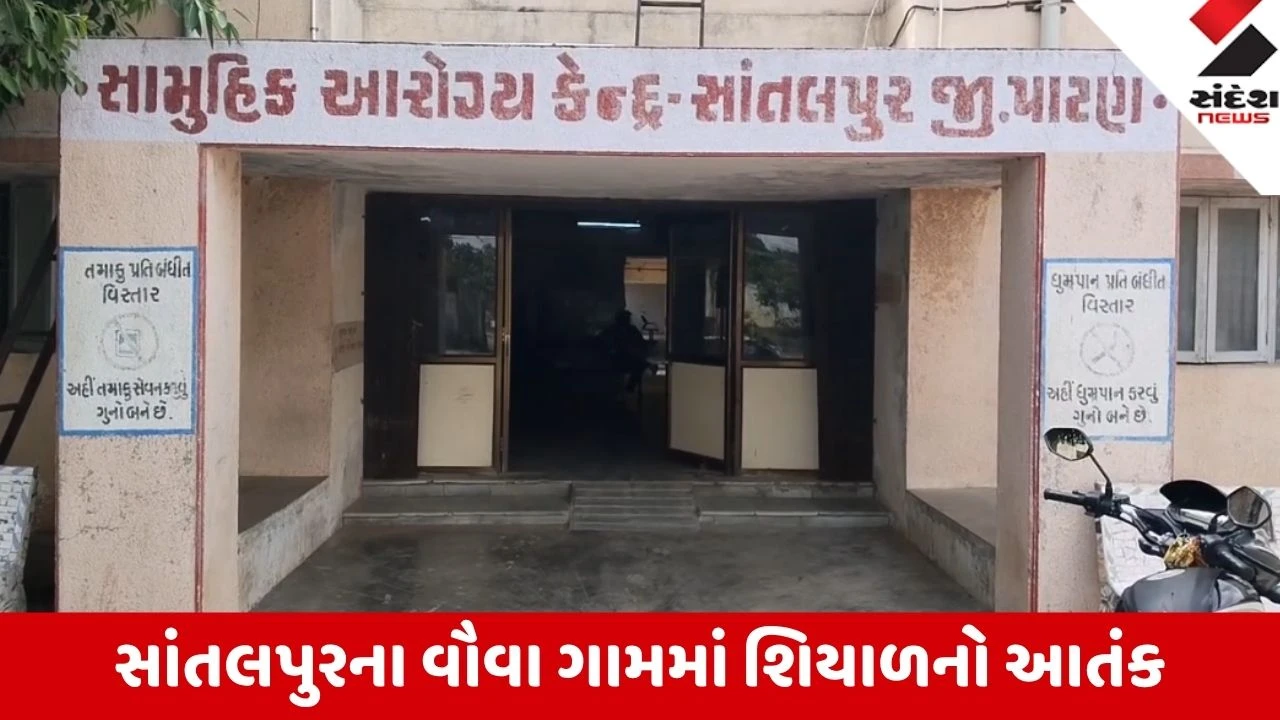 Patan: સાંતલપુરના વૌવા ગામમાં શિયાળનો આતંક, 20થી વધુ લોકોને ઈજા, વન વિભાગની તપાસ શરૂ