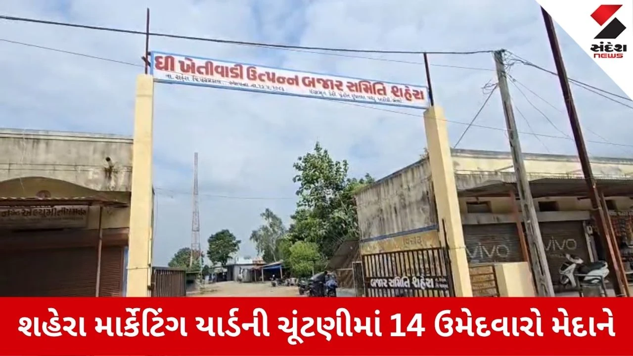 Panchmahal News: શહેરા APMCની 10 બેઠકો માટે 14 ઉમેદવારો મેદાનમાં, ચૂંટણી જંગ બન્યો રોમાંચક