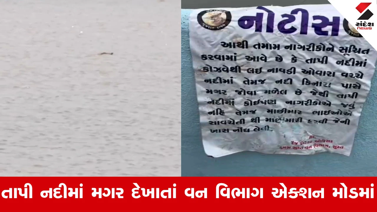 Surat News : તાપી નદીમાં મગર દેખાતાં વન વિભાગ એલર્ટ, રેસ્ક્યુ કિટ સાથે ટીમ તૈનાત