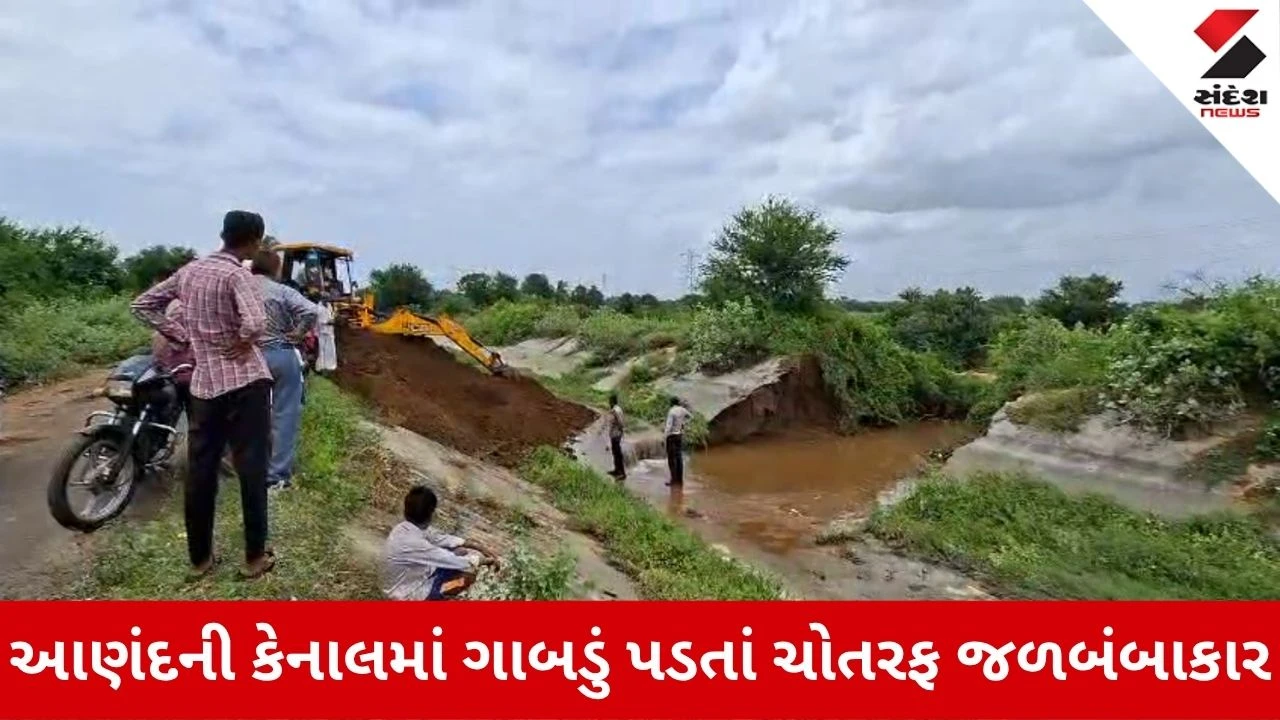 Anand News: ખડોલ-અડાસ માર્ગ પર કેનાલમાં મસમોટું ગાબડું, લાખો લીટર પાણી ખેતરોમાં ફરી વળ્યું
