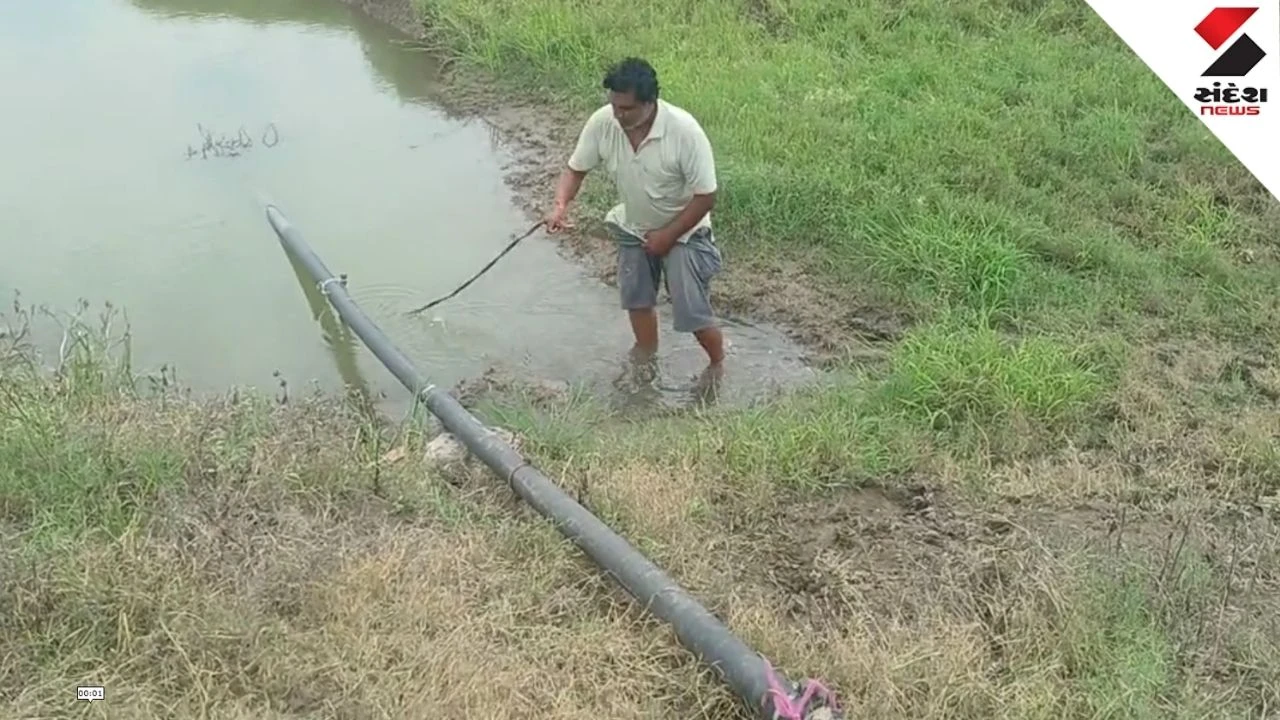 Rajkot News: Cable Theft Near Fofal Dam Leaves Farmers In Crisis in Jamkandorna