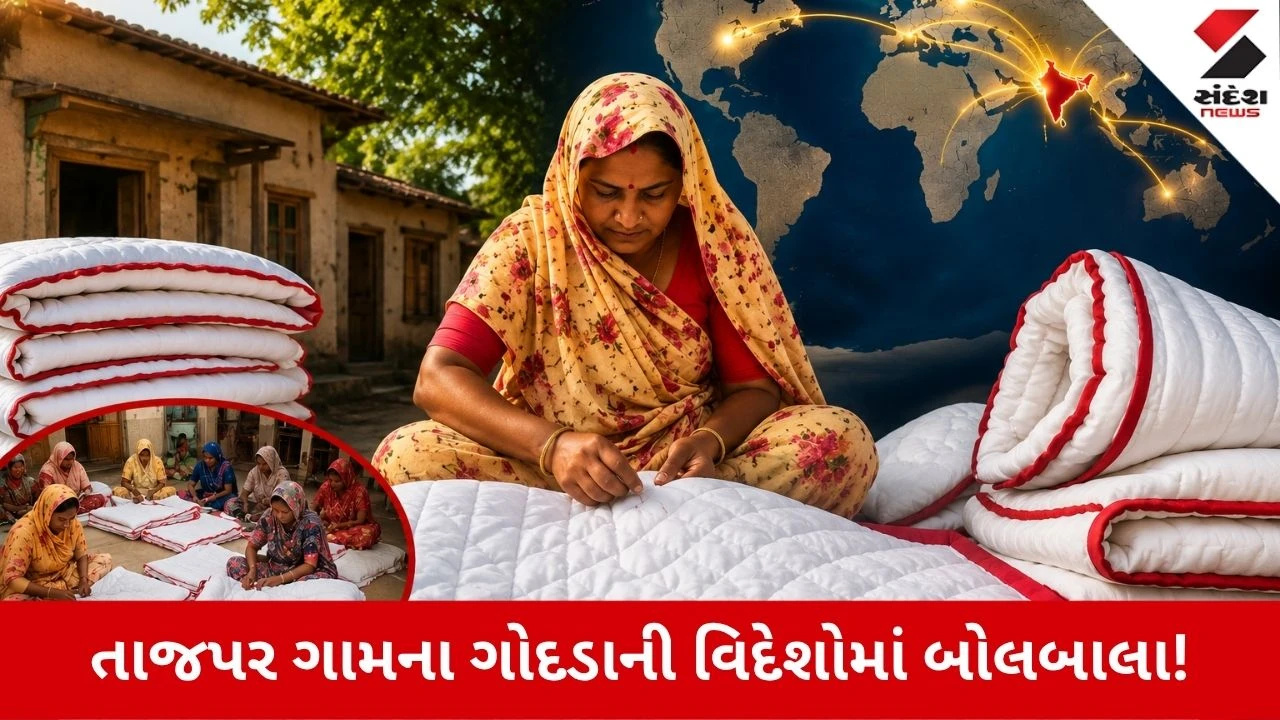 Amreli News: તાજપરના હંસાબેન ગોદડા વેચીને કરે છે લાખોની કમાણી, 7 દેશોમાં કરે છે વેપાર