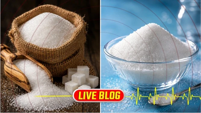 Gujarat Latest News LIVE  : તો શું લાખો પરિવારોને નહીં મળે ખાંડ? તહેવાર ટાણે રાજ્યમાં ખાંડની અછતની સ્થિતિ