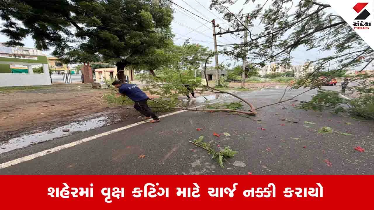 Ahmedabad News: હવેથી ખાનગી સોસાયટીમાં ઝાડ કાપવા માટે AMC ચાર્જ વસૂલશે