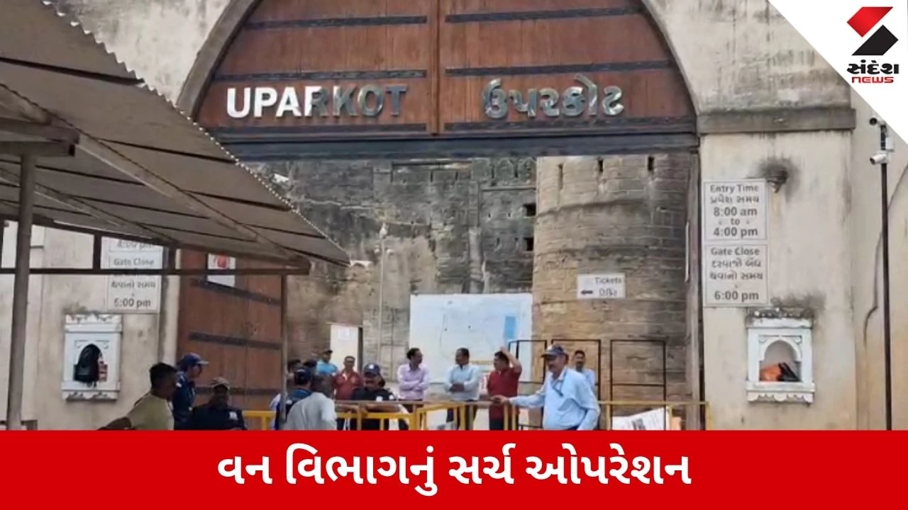 Junagadh : ઉપરકોટ કિલ્લામાં દીપડો દેખાતા ફફડાટ, પ્રવાસીઓ માટે ઐતિહાસિક કિલ્લો કરાયો બંધ