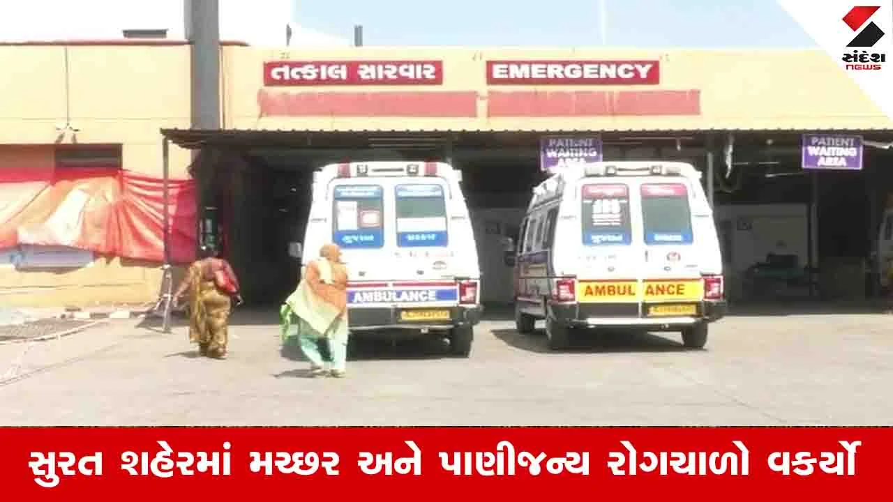 Surat News: શહેરમાં ડેન્ગ્યુ અને ટાઈફોઈડે મચાવ્યો કહેર, 8 વર્ષીય બાળકી સહિત 3 દર્દીઓના મોત