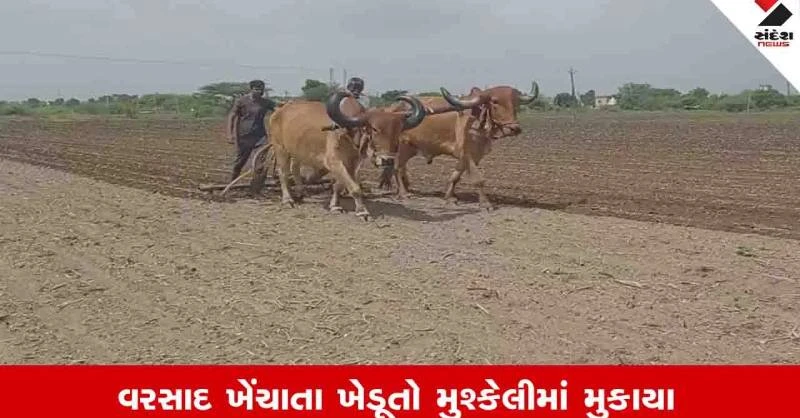 Gujarat Weather News: રાજ્યમાં માત્ર હળવા વરસાદની આગાહી, ભેજનું પ્રમાણ વધવાથી ગરમીનો અહેસાસ થશે