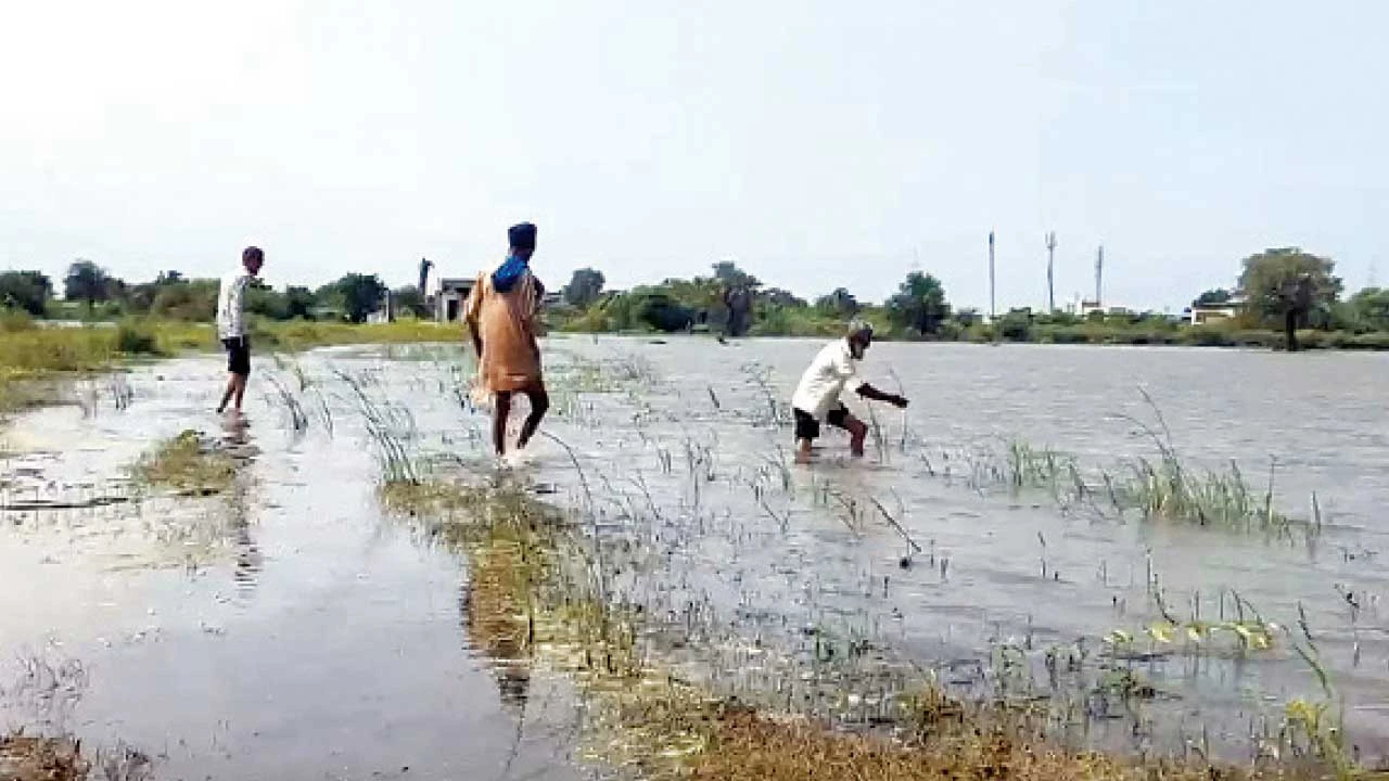 500 એકર જમીન પાણીમાં, એક માસથી કામગીરી અધૂરી !