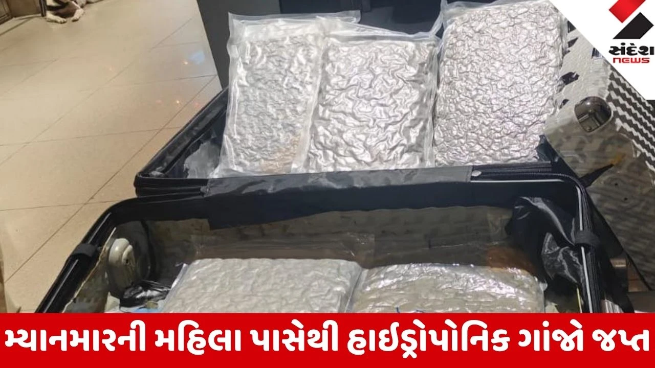 Ahmedabad: વિયેતનામની ફ્લાઇટમાં આવેલી મ્યાનમારની મહિલા 6.07 કિલો હાઇડ્રોપોનિક ડ્રગ્સ સાથે પકડાઈ