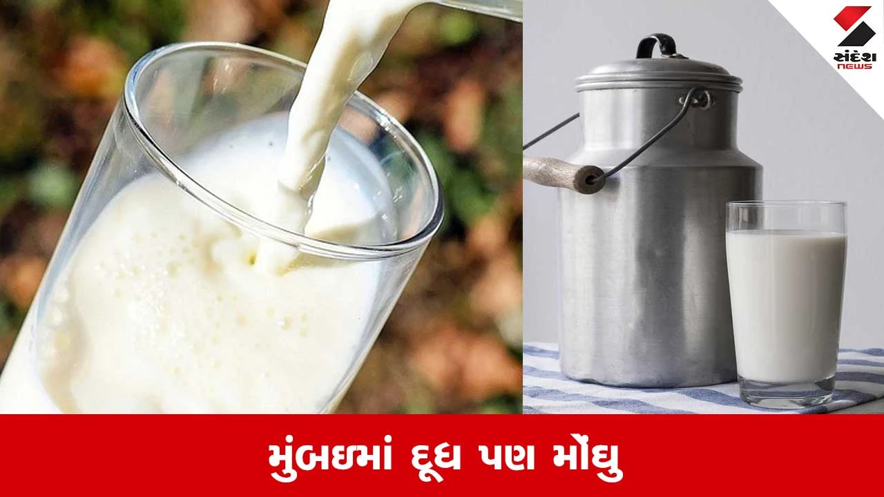 Mumbai Milk Price Hike: મુંબઇમાં મોંઘવારીનો ફટકો, CNG PNG બાદ દૂધમાં 9 રૂપિયા વધ્યા