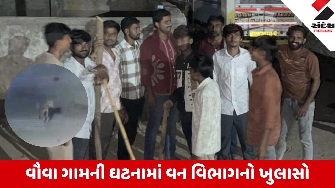 Patan: સાંતલપુરના વૌવા ગામે 15 લોકોને ઘાયલ કરનાર જંગલી જાનવર નહીં, હડકાયો શ્વાન નીકળ્યો