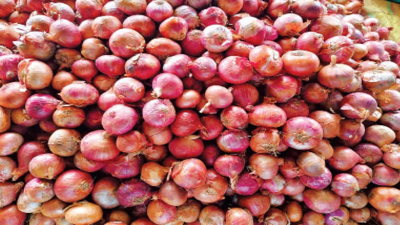 ડભોઇમાં ડુંગળીના ભાવ આસમાને
