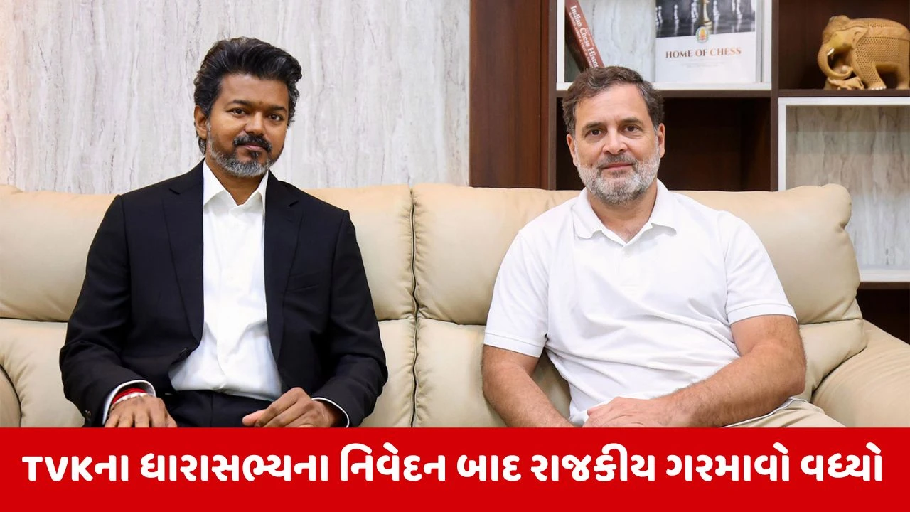 CM Vijayને 2029માં PM બનાવશે રાહુલ ગાંધી, TVKના ધારાસભ્યે આપ્યું નિવેદન