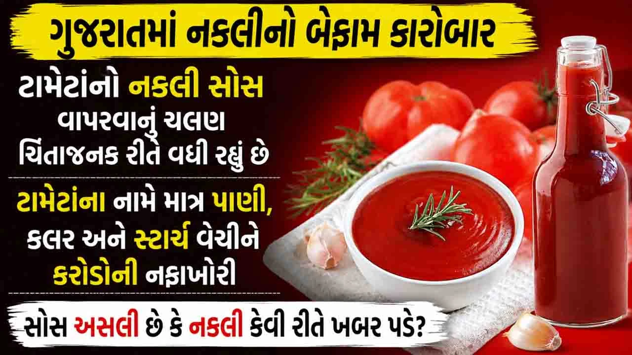 શું તમે રોજ ખાતા લાલચોળ દેખાતા ટોમેટો સોસની અસલીયત જાણો છો?