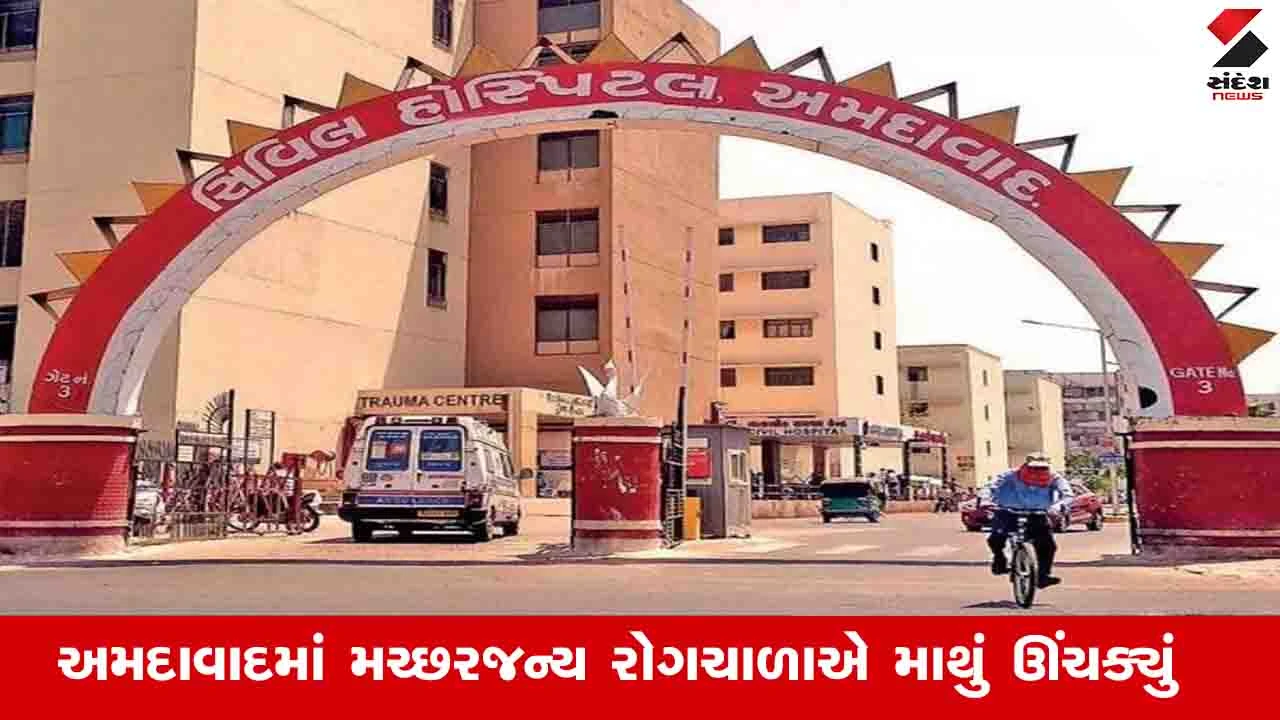 Ahmedabad News: શહેરમાં ડેન્ગ્યુ અને મેલેરિયાના કેસ વધ્યા, બંને સિવિલ હોસ્પિટલમાં રોજ 20 દર્દીનો રિપોર્ટ પોઝિટીવ