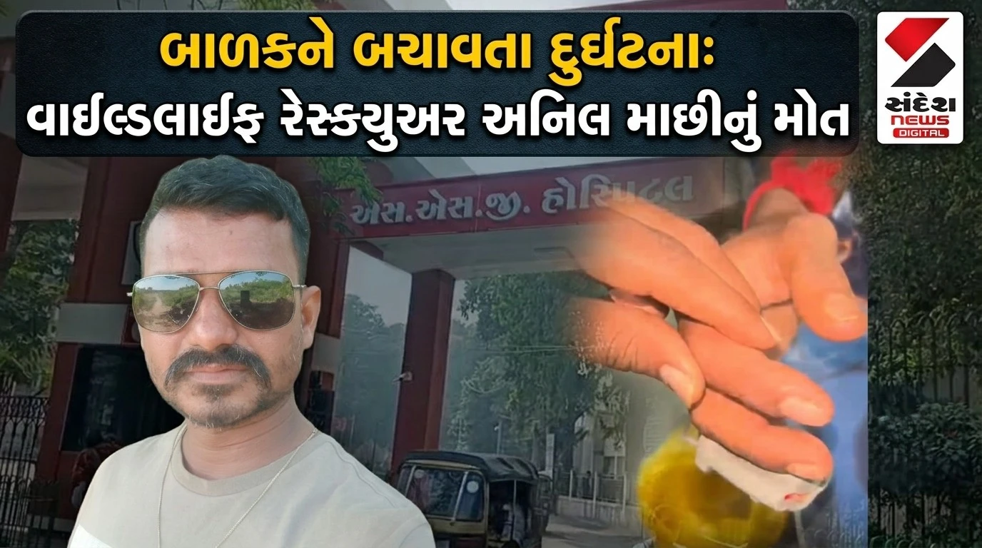 Vadodara News: હીરો બનીને બાળકોનો જીવ બચાવ્યો, પણ પોતે ઝેર સામે હારી ગયા, શિનોરના યુવાન વાઇલ્ડલાઇફ રેસ્ક્યુઅરનું સર્પદંશથી મોત