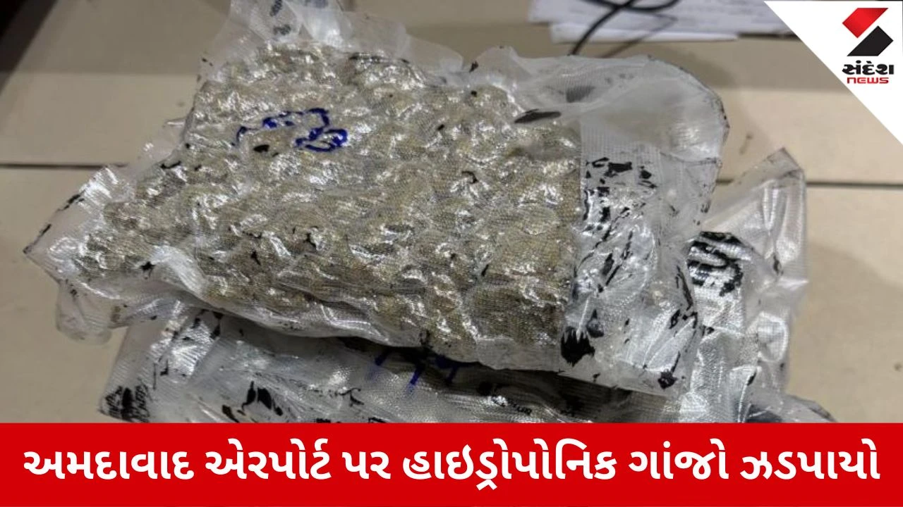 અમદાવાદ એરપોર્ટ પર 1.928 કિલો હાઇડ્રોપોનિક ગાંજો ઝડપાયો, બેંગકોકથી આવેલા દંપતીની ધરપકડ