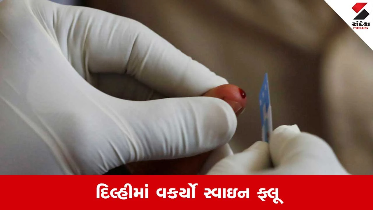 દિલ્હીમાં 7 વર્ષનો રેકોર્ડ તોડીને સ્વાઇન ફ્લૂના 3218 કેસ નોંધાયા