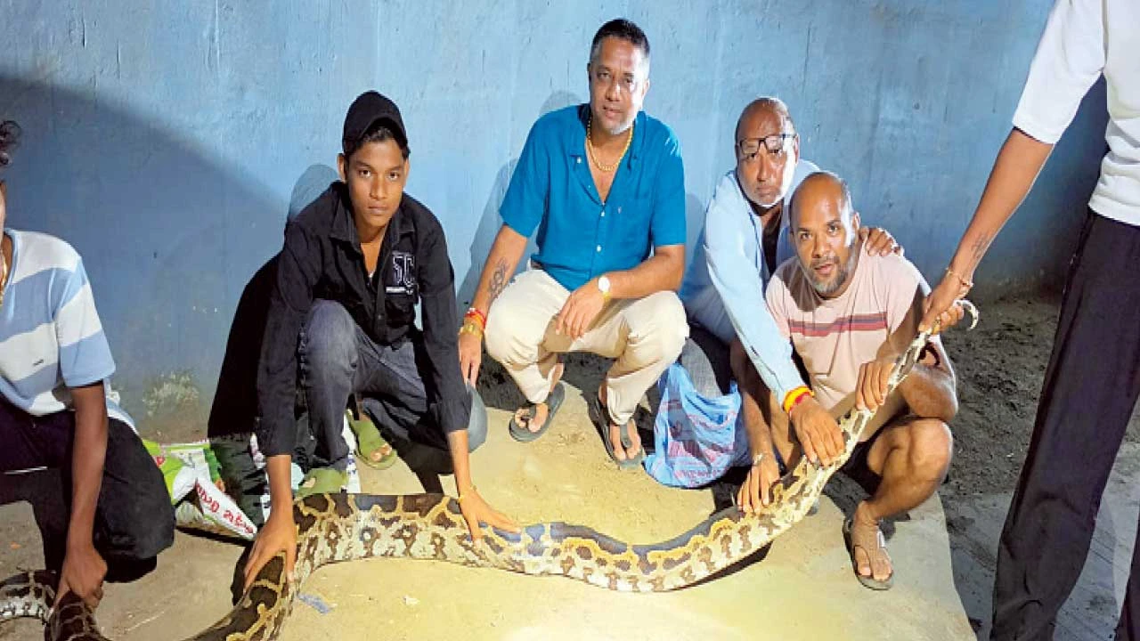 Dabhoi: ડભોઇના નડા રેલવે સ્ટેશન નજીક અજગરનું રેસ્ક્યૂ કરાયું