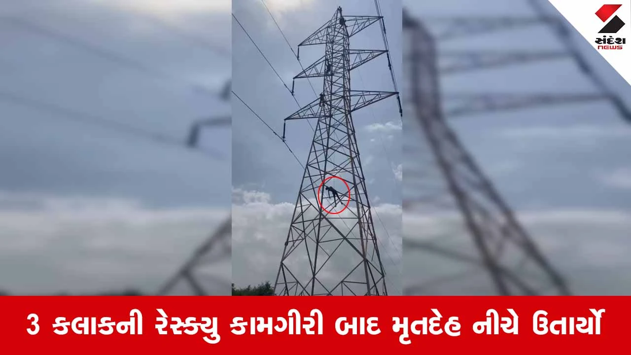 Kutchના ભચાઉમાં 200 ફૂટ ઊંચા વીજ ટાવર પર લટકતી હાલતમાં યુવકનો મૃતદેહ મળતા મચી ચકચાર