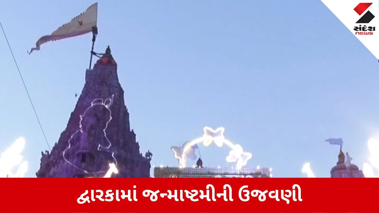 Janmashtami 2026: દ્વારકામાં કૃષ્ણ જન્મોત્સવની ભવ્ય ઉજવણી, વહેલી સવારથી ભક્તોનું ઘોડાપૂર ઉમટ્યું