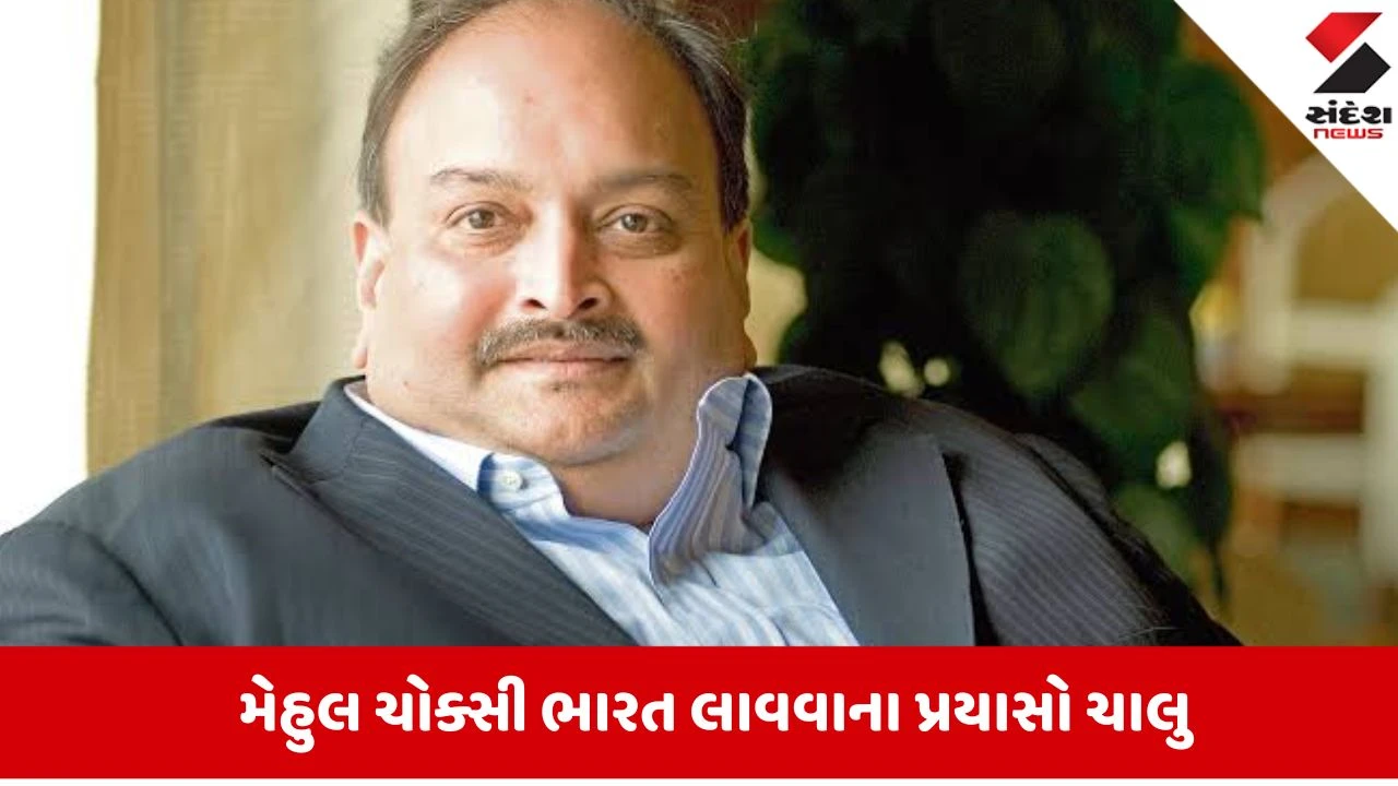 ભાગેડુ મેહુલ ચોક્સીને ભારત લાવવા બેલ્જિયમ સરકાર સાથે ચર્ચા