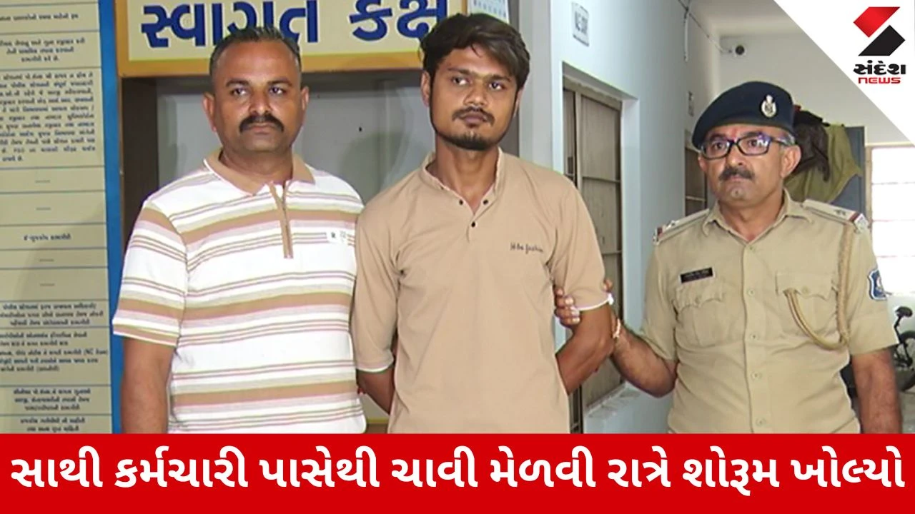 Ahmedabad : ગર્લફ્રેન્ડ અને મોજશોખ માટે જ્વેલરી શોરૂમમાંથી સોના-ડાયમંડના દાગીનાની ચોરી, સેલ્સ એક્ઝિક્યુટિવ ઝડપાયો