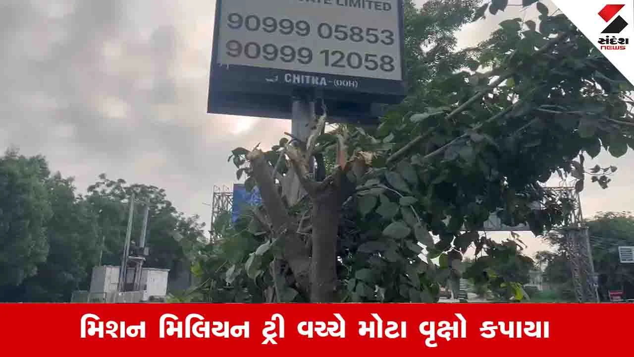 અમદાવાદમાં જાહેરાતના હોર્ડિંગ્સ માટે વૃક્ષોનું નિકંદન