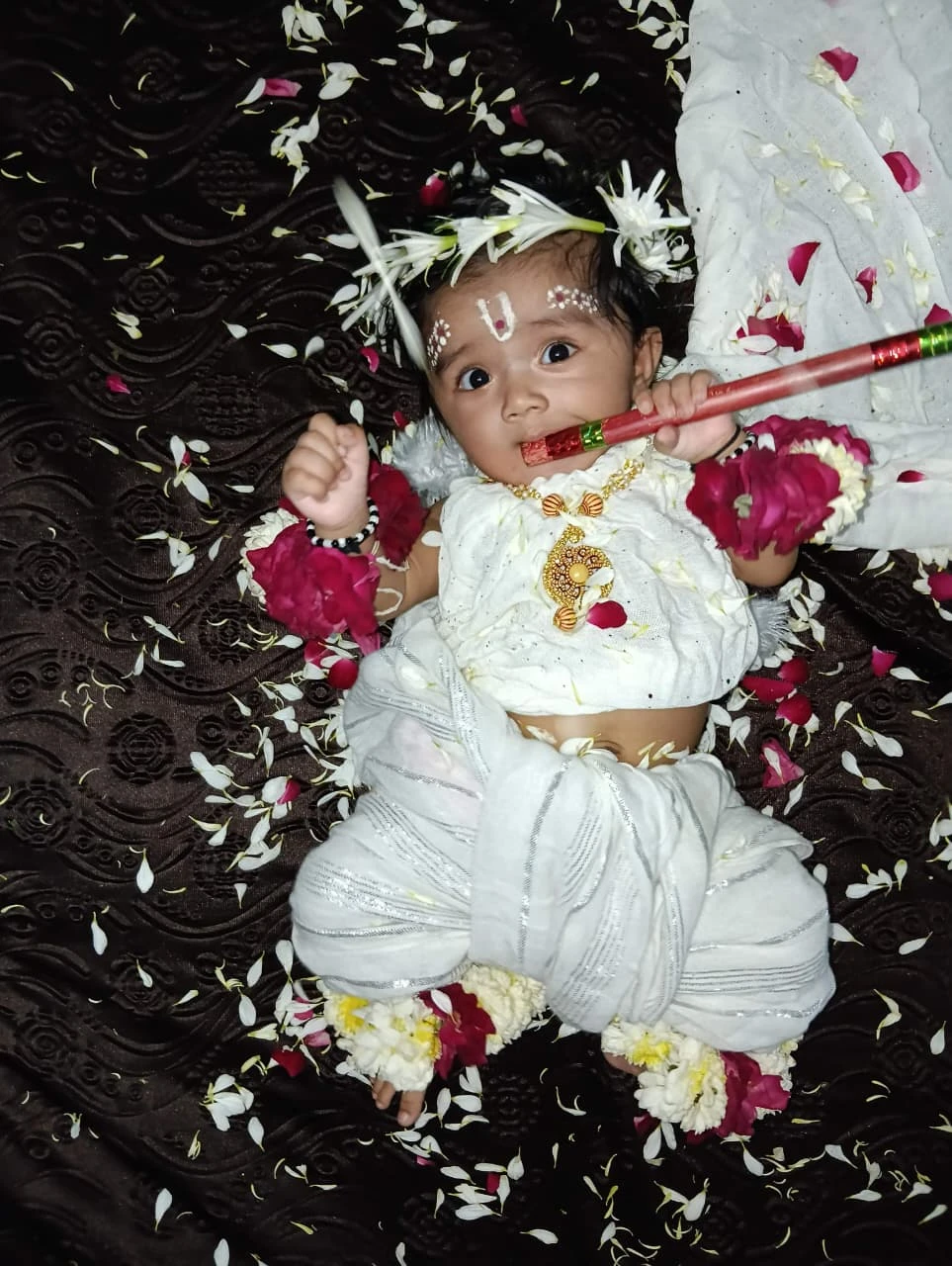 WhatsApp Image 2026-09-04 at 5.51.01 PM