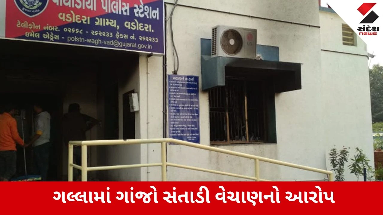 Vadodara : સુમનદીપ વિદ્યાપીઠ સામે પાન મસાલાના ગલ્લાની આડમાં ગાંજાનો ધંધો, SOGએ મહિલાને ઝડપી પાડી