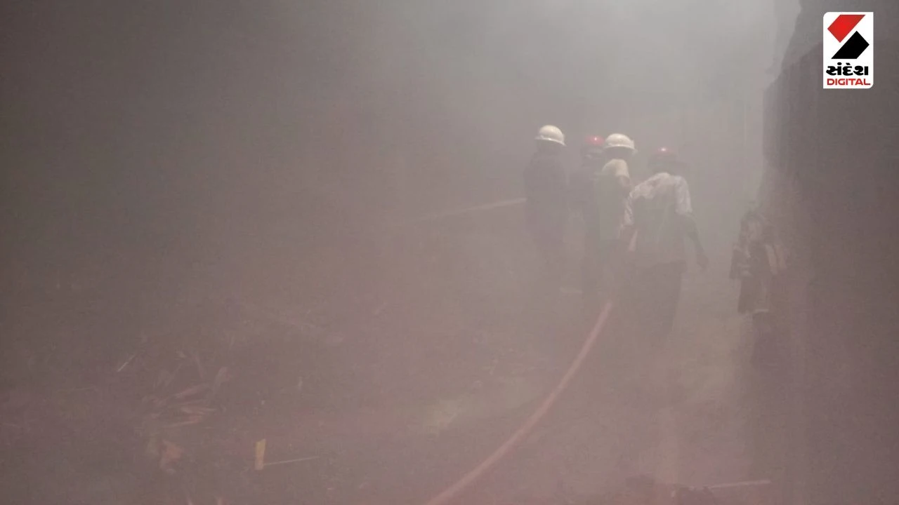Surat News: Massive Blaze at Gujarat Wood Plywood Company in Mangrol