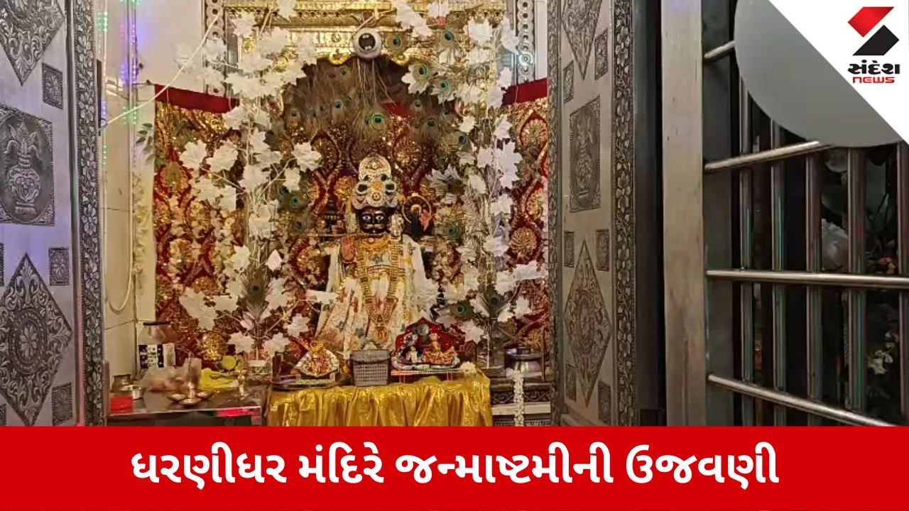 Janmashtami 2026: વાવ-થરાદમાં જન્માષ્ટમીની ઉજવણી, ધાણીધર મંદિરે મધરાતે ઉમટ્યું ભક્તોનું ઘોડાપૂર