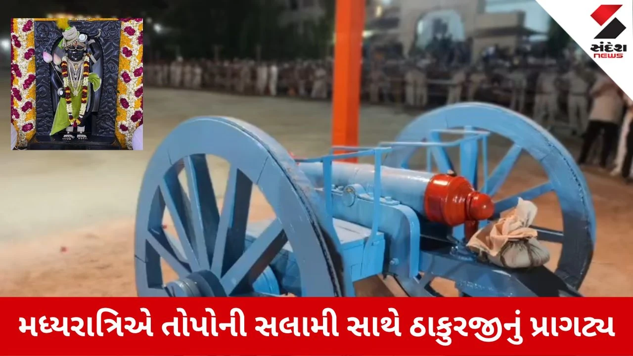 નાથદ્વારામાં શ્રીનાથજી મંદિરે 21 તોપોની સલામી સાથે જન્માષ્ટમીની ભવ્ય ઉજવણી