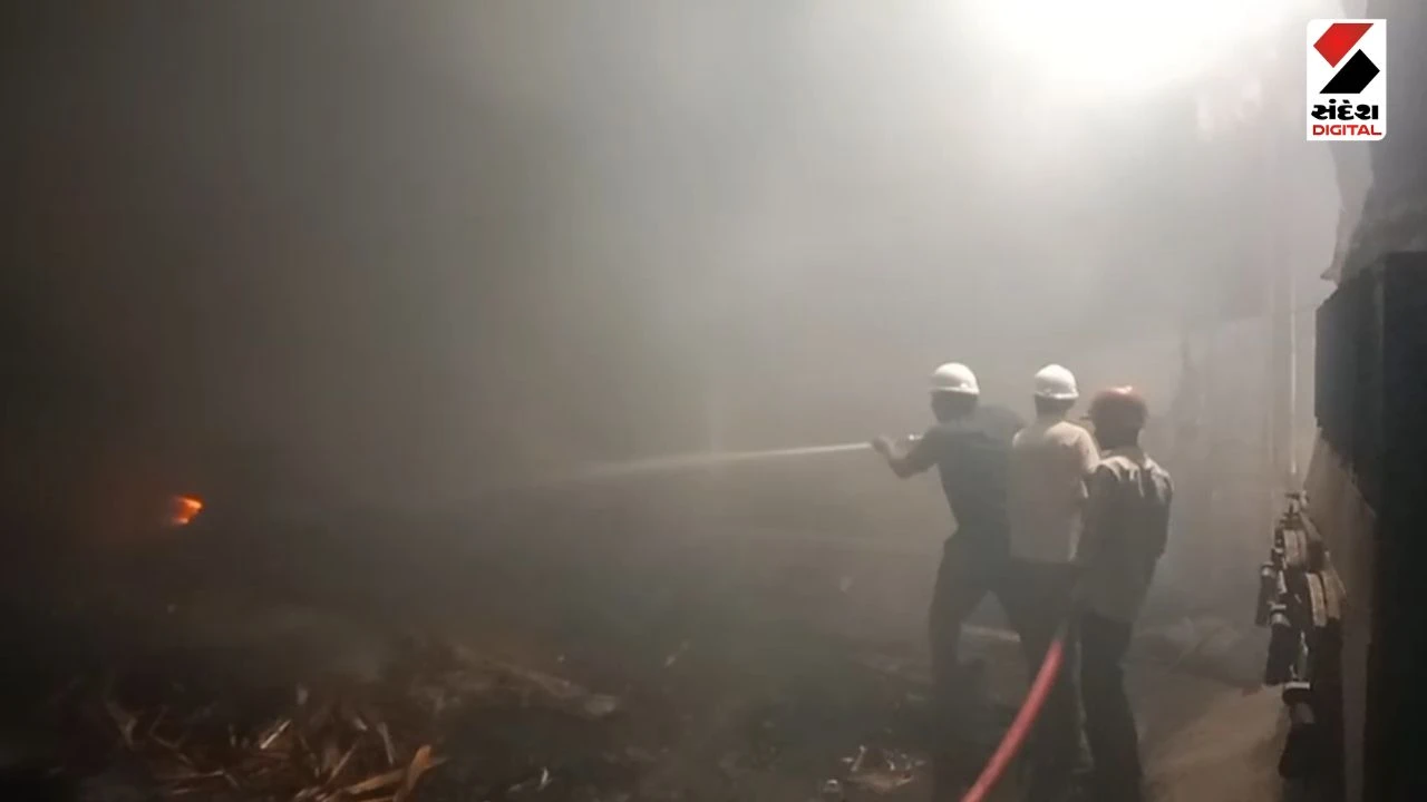 Surat News: Massive Blaze at Gujarat Wood Plywood Company in Mangrol