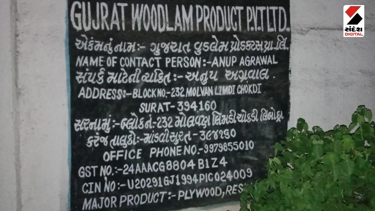 Surat News: Massive Blaze at Gujarat Wood Plywood Company in Mangrol