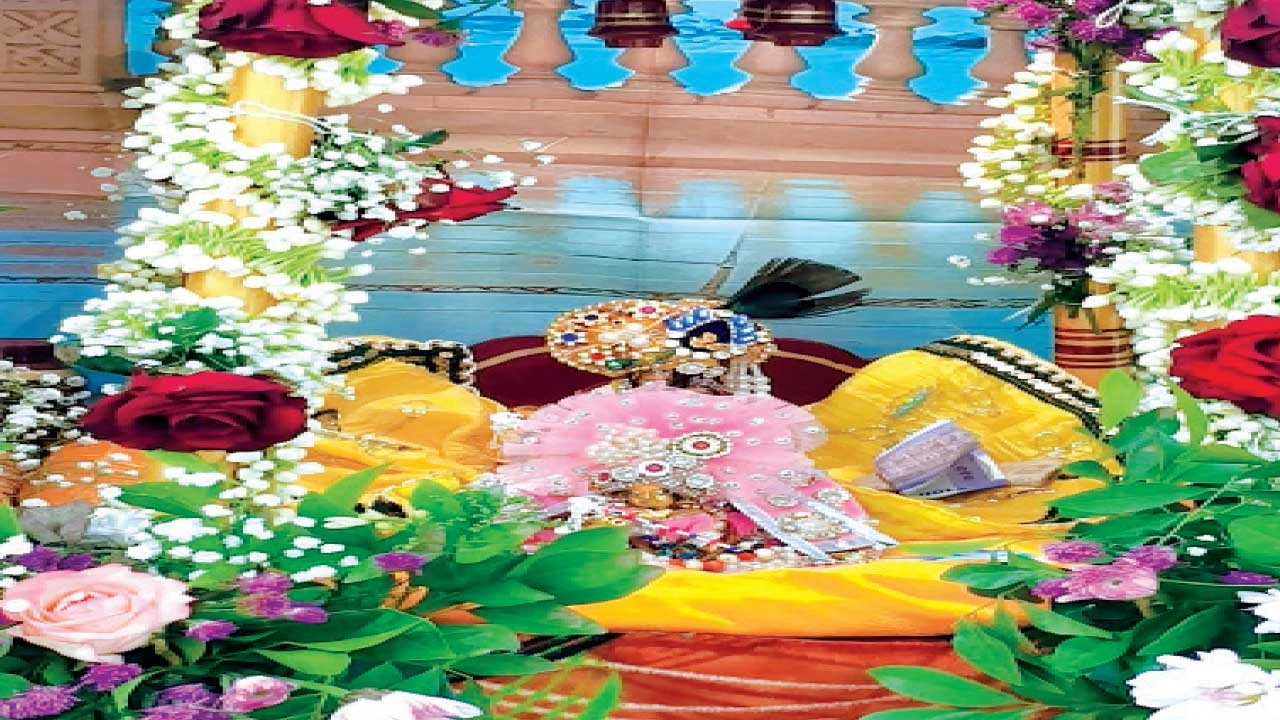 Vadodara: શિનોર નગર સહિત તાલુકામાં હર્ષોલ્લાસ સાથે જન્માષ્ટમી ઉજવાઇ
