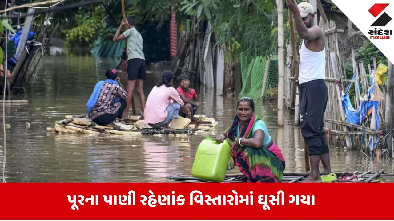 Kanpurમાં પાંડુ નદીનું જળસ્તર વધતા હાહાકાર, લોકો ઘરના ધાબા પર ફસાયા