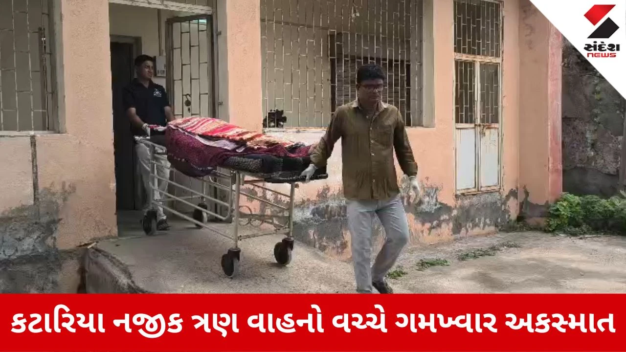Surendranagar News: લીંબડી નજીક અમદાવાદ-રાજકોટ હાઈવે પર ત્રીપલ અકસ્માત, 2 ના મોત, 7 ઈજાગ્રસ્ત