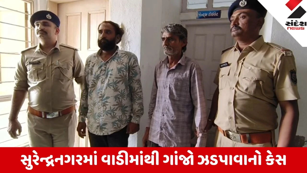 Sayla: વાડીમાં 7 કિલો ગાંજો મૂકી નિર્દોષને ફસાવનાર બાતમીદાર જ નીકળ્યો આરોપી; 2 ની ધરપકડ