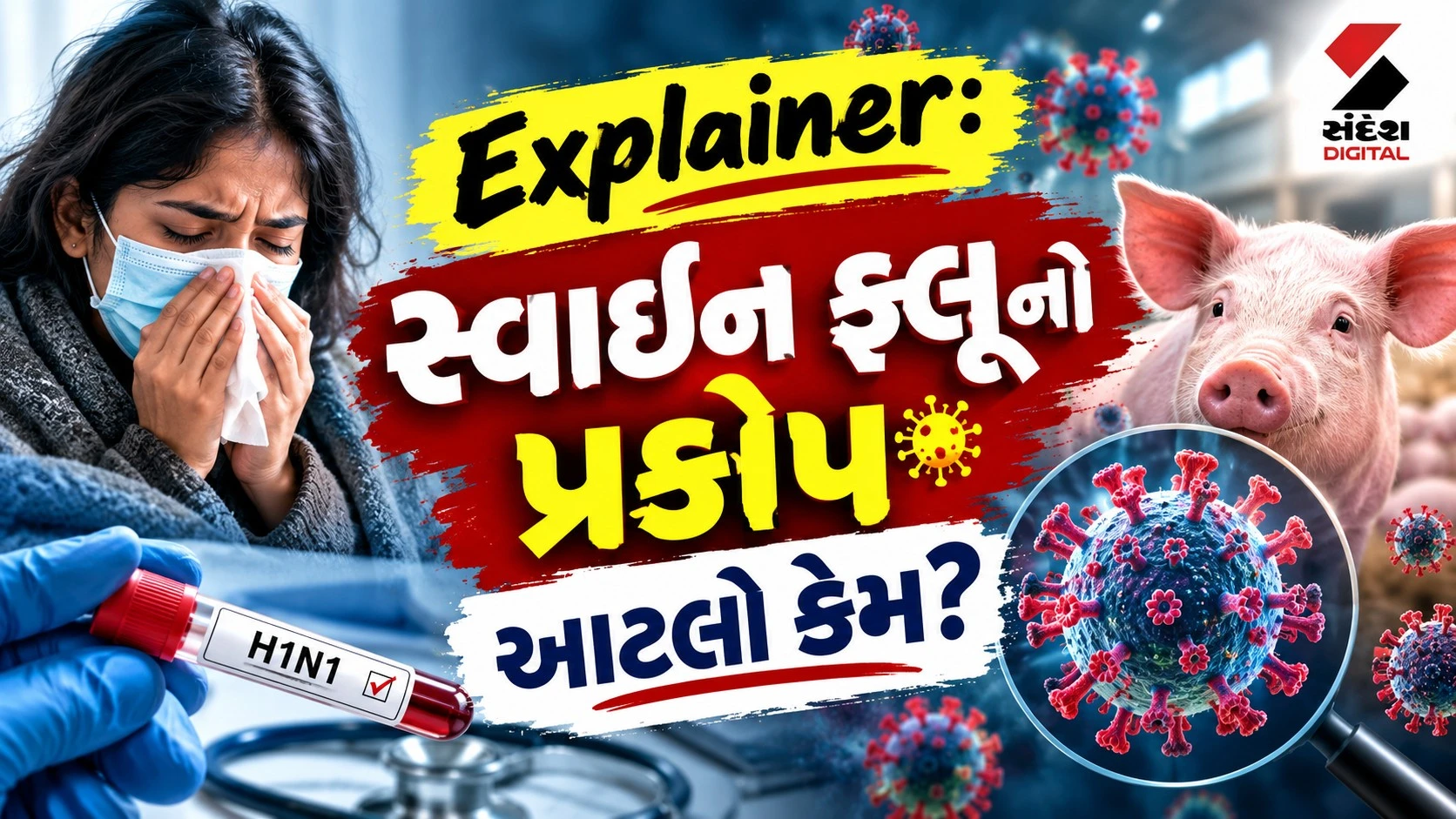Explainer: સ્વાઈન ફ્લૂનો પ્રકોપ આટલો કેમ? સમજો વિગતવાર