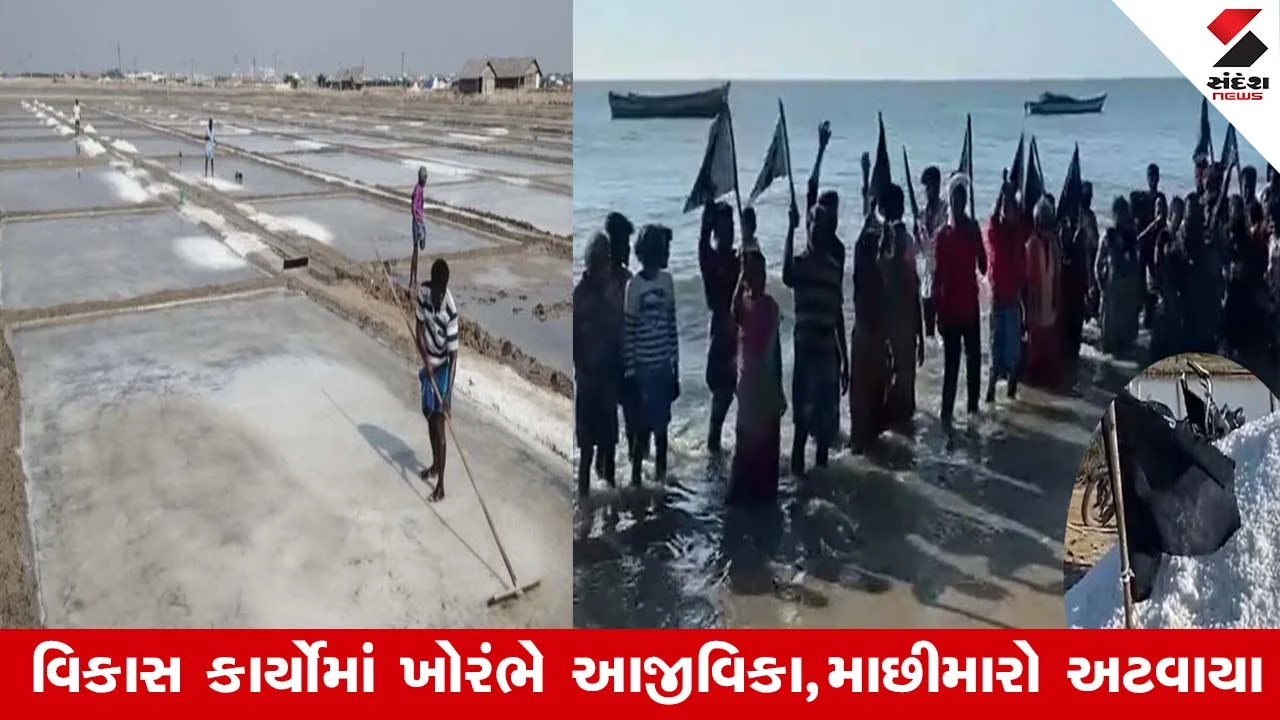 તુતીકોરીન 'નમક' આંદોલન: કામદારો અને માછીમારોએ કાળા ઝંડા સાથે દર્શાવ્યો વિરોધ