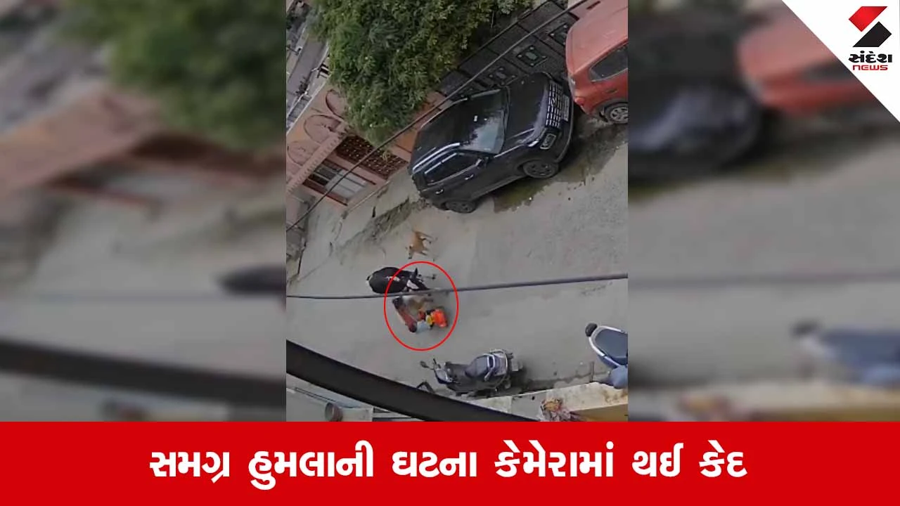 Vadodaraના બાજવામાં રખડતા ઢોરનો આતંક: માતા અને માસૂમ બાળક પર હુમલો