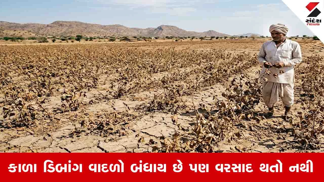 તો શું સરકાર હવે ગુજરાતમાં દુષ્કાળ જાહેર કરશે?