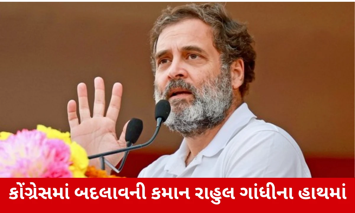 Politics News:  2029 પહેલાં કોંગ્રેસમાં થશે મોટો ફેરફાર, યુવા ચહેરાઓ પર રાહુલ ગાંધીનું ફોકસ