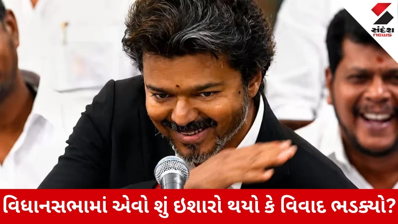 Tamil Nadu : થલપતિ વિજયે વિધાનસભામાં કર્યો એવો ઇશારો કે મચી ગઇ બબાલ, હવે આપી રહ્યા છે સફાઈ