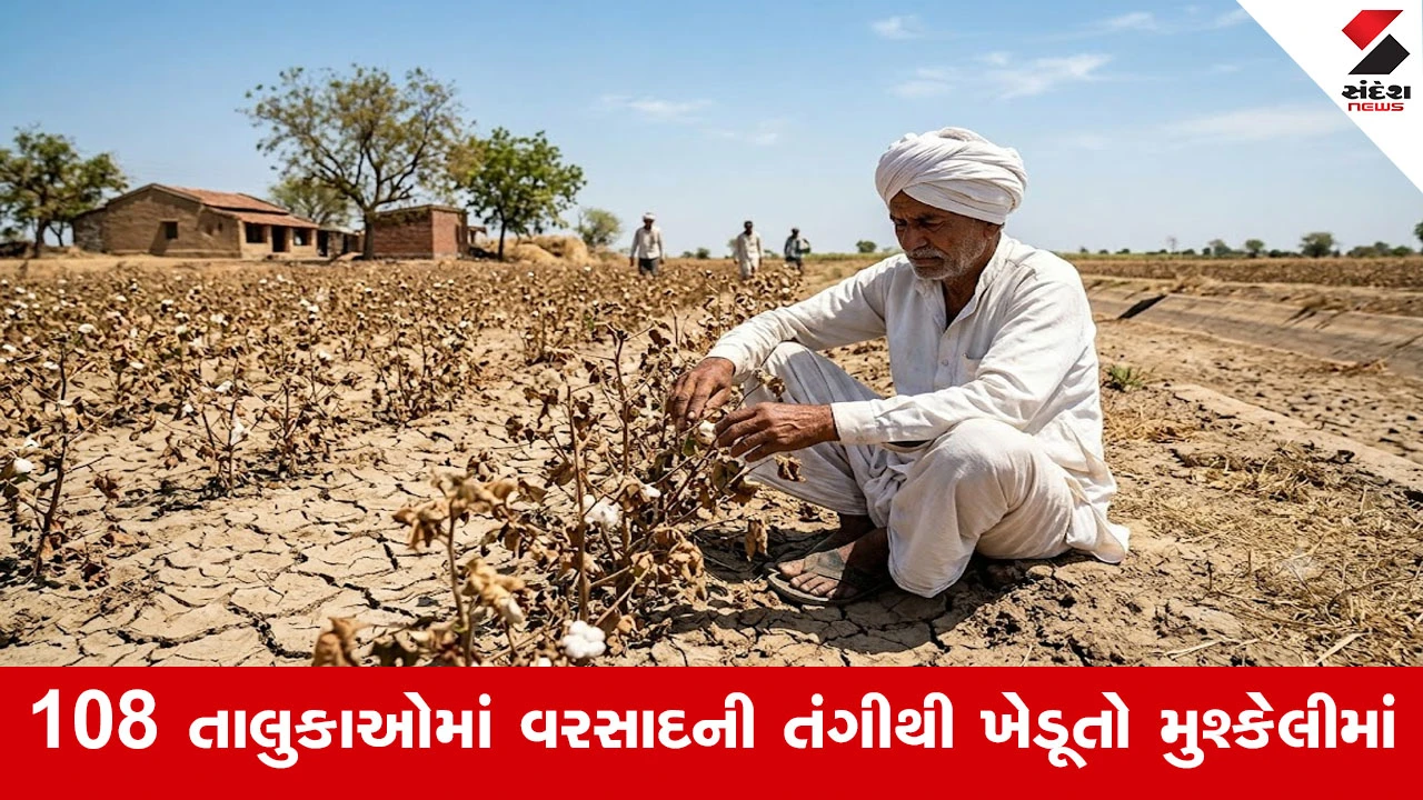 Ahmedabad News : અડધું ગુજરાત કોરુંધાકોર, 11 જિલ્લામાં વરસાદ ન થતાં રુ.55 હજાર કરોડના પાકને નુકસાન