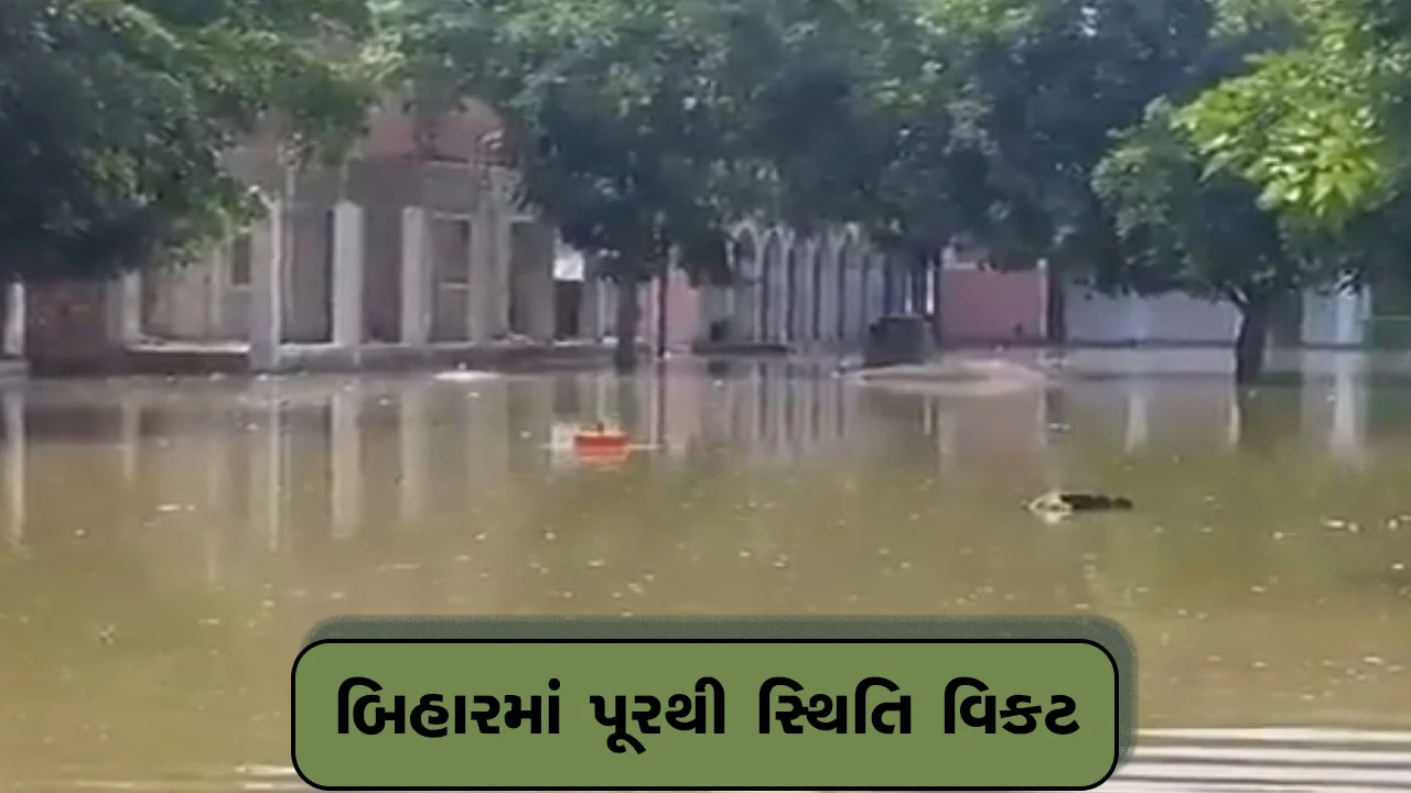 બિહારના કટિહાર જિલ્લામાં ગંગા, કોસી અને બરંડી નદીઓ બે કાંઠે