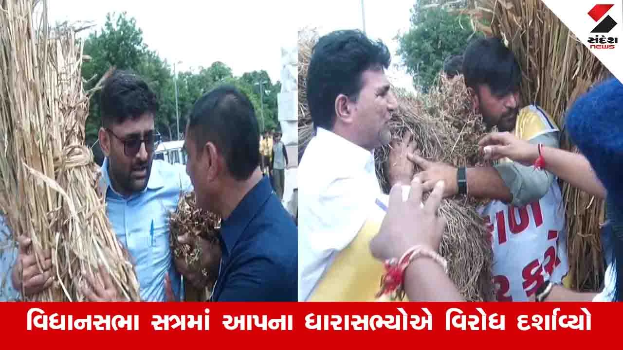 ગુજરાત વિધાનસભાના ચોમાસુ સત્રમાં AAP ધારાસભ્યોનો ઘાસચારો લઈને વિરોધ