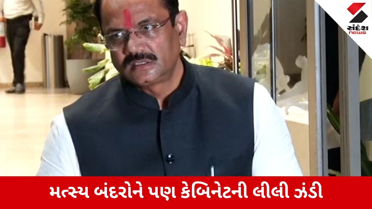 Gandhinagar : ખેડૂતો માટે કેબિનેટનો મોટો નિર્ણય, તાત્કાલિક ધોરણે પશુઓ માટે ઘાસચારો ઉપલબ્ધ કરાવા સૂચના